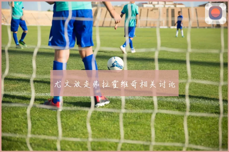 尤文放走弗拉霍维奇相关讨论